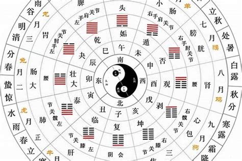 五行十干|十天干十二地支对应五行 十天干十二地支五行阴阳属性